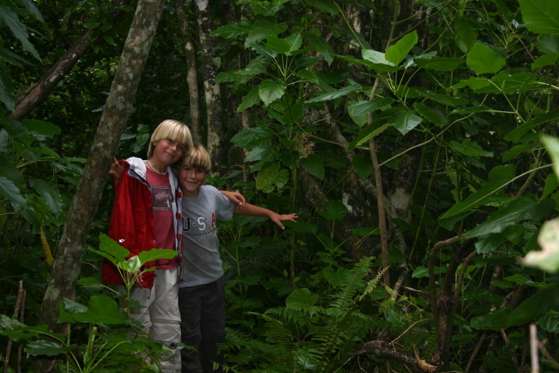 Little woodland elfs?